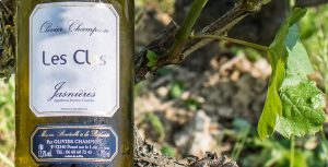 Domaine viticole Olivier Champion