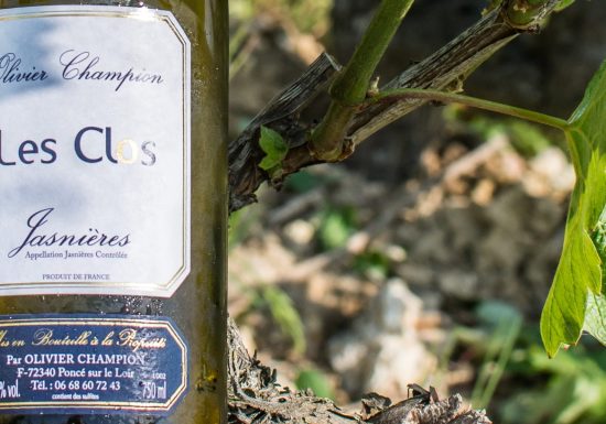 Domaine viticole Olivier Champion