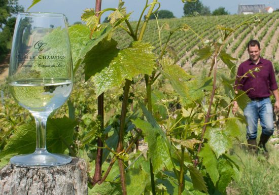 Domaine viticole Olivier Champion