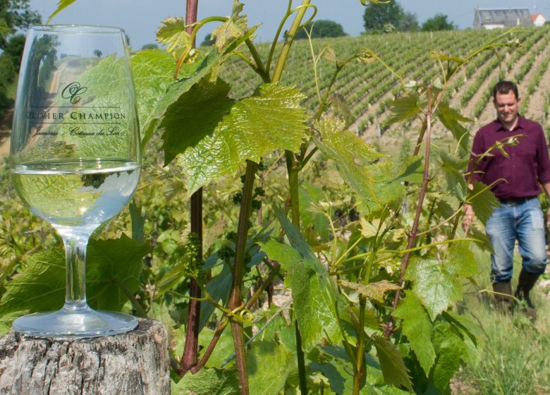 Domaine viticole Olivier Champion