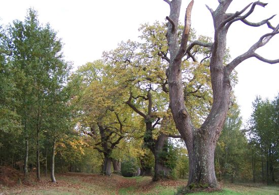 ENS des chataigneraies de la Naillerie et des Guillaumeries
