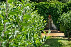 JARDIN DU CHATEAU DE VILLAINES