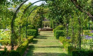 JARDIN DU CHATEAU DE VILLAINES