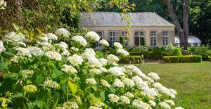 JARDIN DU CHATEAU DE VILLAINES