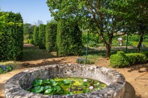 JARDIN DU CHATEAU DE VILLAINES