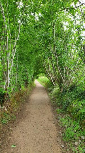 AUTOUR DU BOULEVARD NATURE : LA CHAPELLE SAINT-AUBIN, LA BALADE DE SAINT-CHRISTOPHE