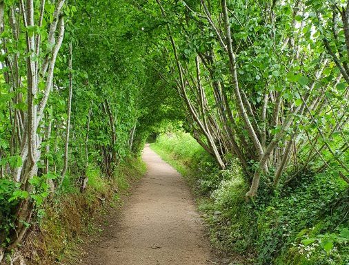 AUTOUR DU BOULEVARD NATURE : LA CHAPELLE SAINT-AUBIN, LA BALADE DE SAINT-CHRISTOPHE