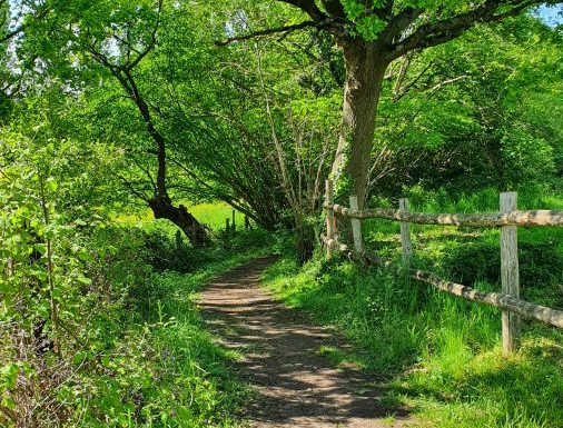 AUTOUR DU BOULEVARD NATURE : SARGÉ-LÈS-LE-MANS : AU COEUR DU BOCAGE