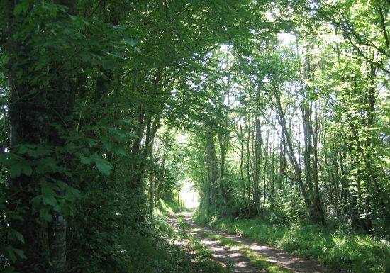 BOUCLE VTT – FICHE N°2 – CIRCUIT DES TROIS BOIS