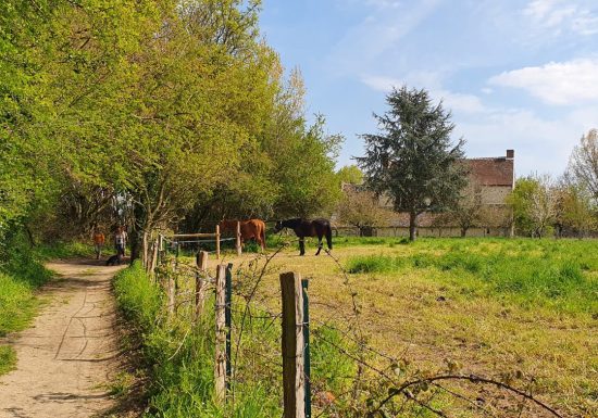 AUTOUR DU BOULEVARD NATURE : COULAINES, SOUS LES SENTIERS BOCAGERS