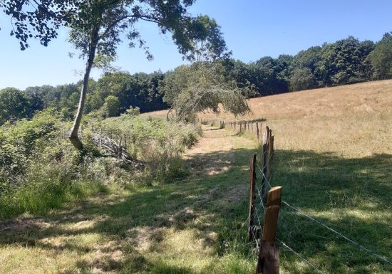 “Grand tour du Gasseau” interpretation trail