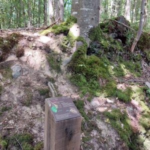 “Grand tour du Gasseau” interpretation trail