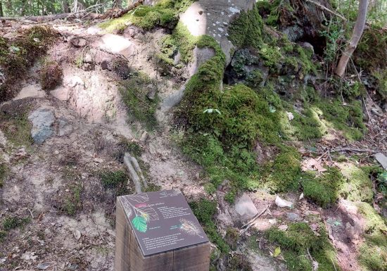 “Grand tour du Gasseau” interpretation trail