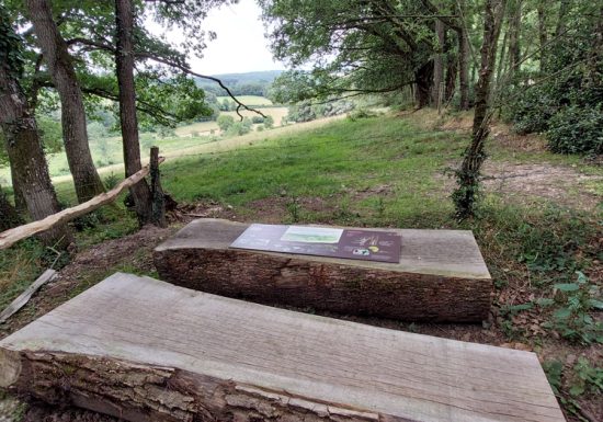 “Grand tour du Gasseau” interpretation trail