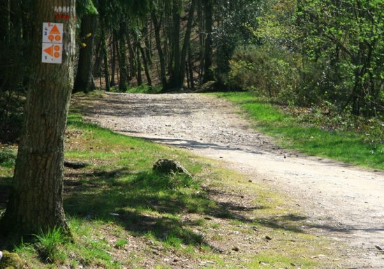 Mountain bike circuit no. 1 “Le Champ des Pas”