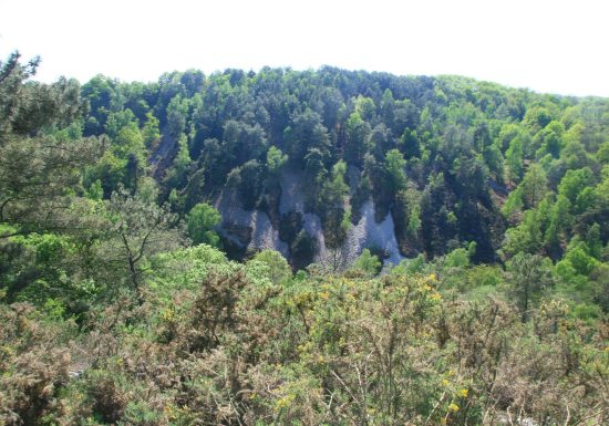 Mountain bike circuit no. 6 “Le Val”