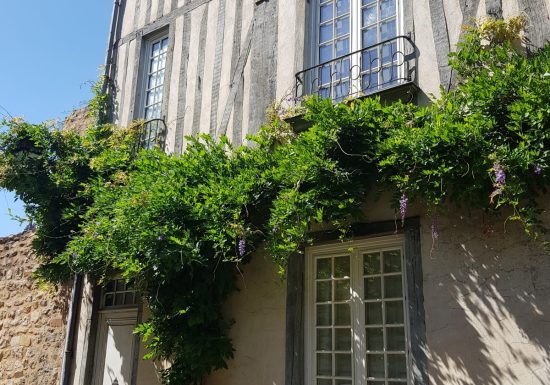 AUTOUR DU BOULEVARD NATURE : LE MANS CITÉ PLANTAGENÊT, AU FIL DES ENCEINTES