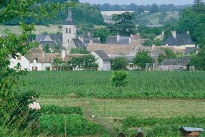 CLERMONT-CRÉANS – PARMI BOIS, CHEVREUILS ET BLAIREAUX