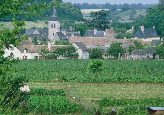 Clermont-Créans – Parmi bois, chevreuils et blaireaux