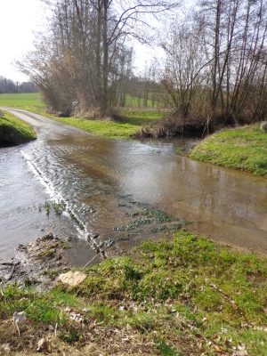 PECHER EN SOLITAIRE SUR LE TUSSON