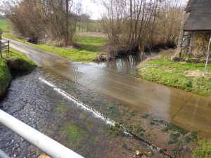 PECHER EN SOLITAIRE SUR LE TUSSON