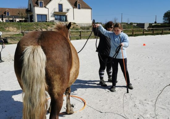 DECOUVRIR LES CHEVAUX AUTREMENT : EQUI SYNERGIE