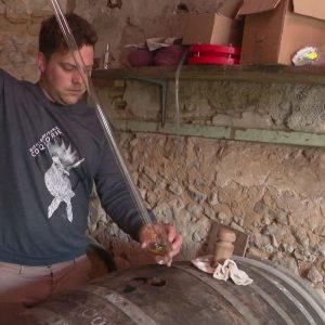 DISTILLERIE COQLICORNE