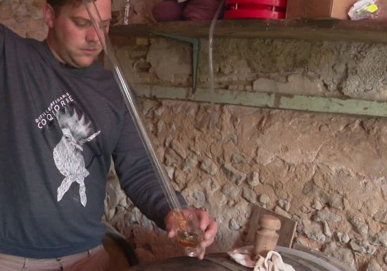 DISTILLERIE COQLICORNE