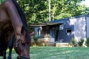 Les Cottages et Roulottes du Haras