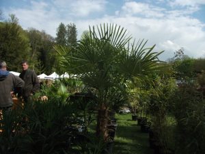 Courtanvaux Côté Jardin