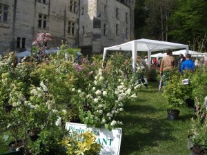 Courtanvaux Côté Jardin