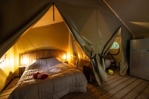 Ecolodge au camping de la Chabotière