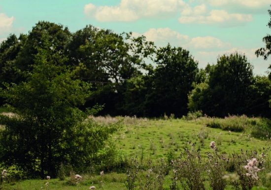 LA BALADE DU CHEMIN DES DAMES