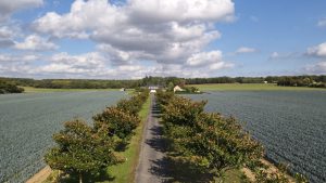 La Vallée de la Hune – Le Poirier
