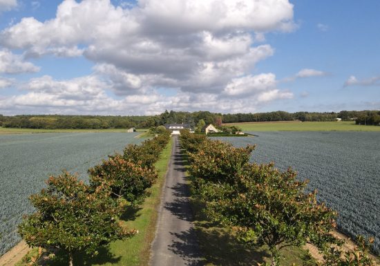 La Vallée de la Hune – Le Poirier