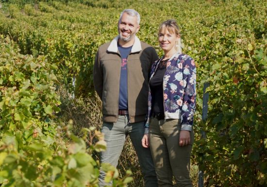 Domaine Lelais dégustation et vente de vin
