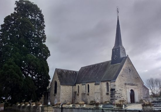 SÉQUOIA GÉANT – MEURCÉ