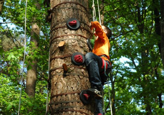 Parc aventures des Tyroliennes de la Forêt – Sillé-le-Guillaume