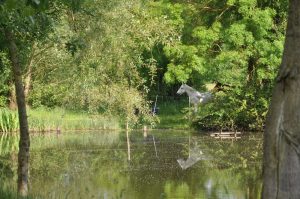 Camping de la Bourrelière