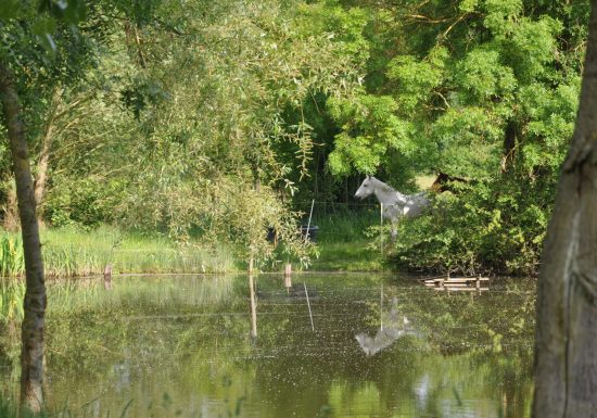 Camping de la Bourrelière