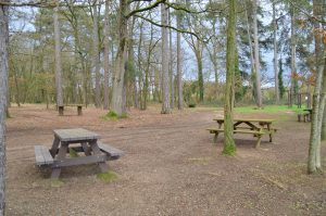 Espace naturel sensible de la Forêt départementale et communale de Brette-les-Pins