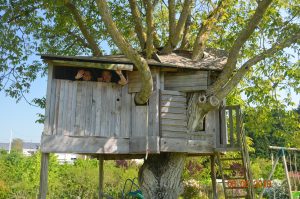 Chambres d’hôtes au Parfum des Lavandes