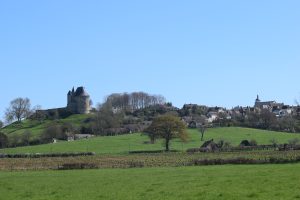BOUCLE – FICHE N°2 – CIRCUIT DES ORCHIDÉES – BALLON SAINT MARS