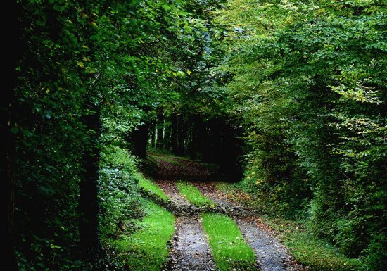 Balade de sa Majesté Carnaval