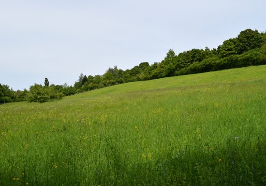 Le Coteau des Buttes