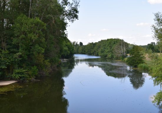 BOUCLE – FICHE N°8 – CIRCUIT NATURE ENTRE TERRE ET EAU – LA GUIERCHE/JOUÉ L’ABBÉ