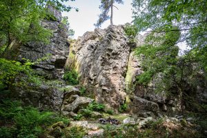 Forêt domaniale de Sillé