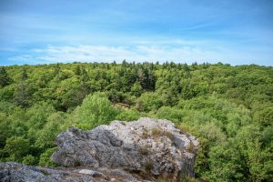 Forêt domaniale de Sillé