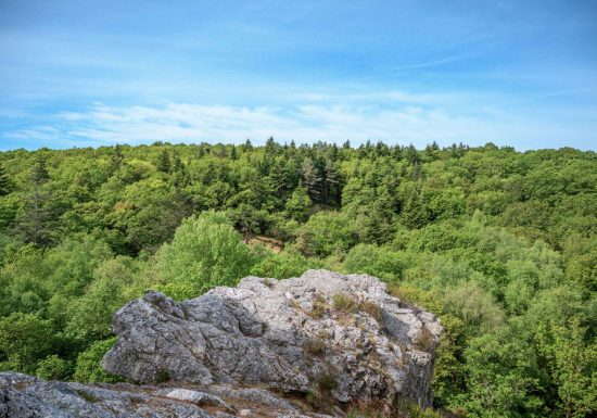 Forêt domaniale de Sillé