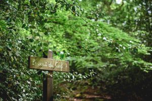 Forêt domaniale de Sillé